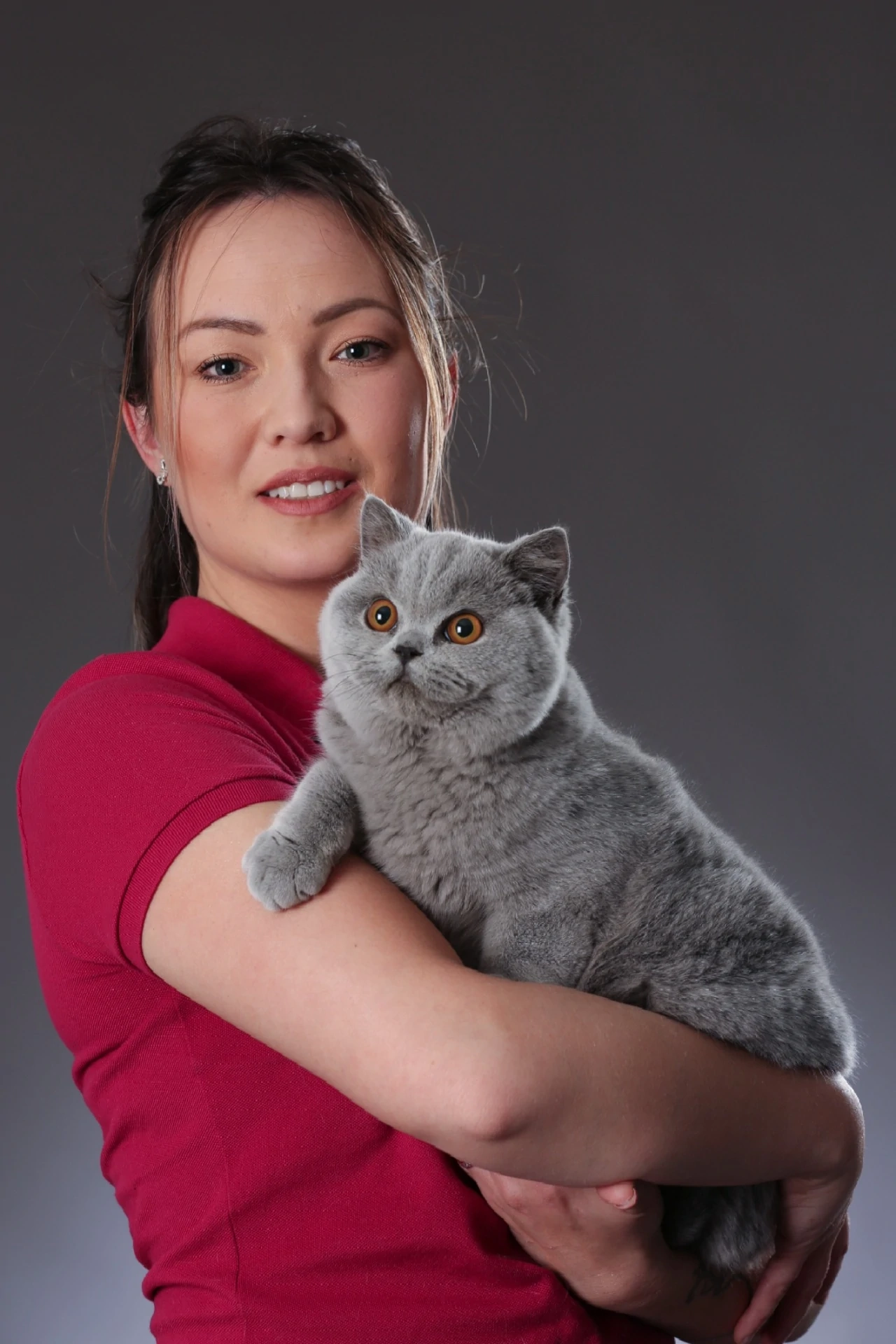 Tiffany, éleveuse de British Shorthair chez British of Furry Angel, tenant un magnifique chat gris