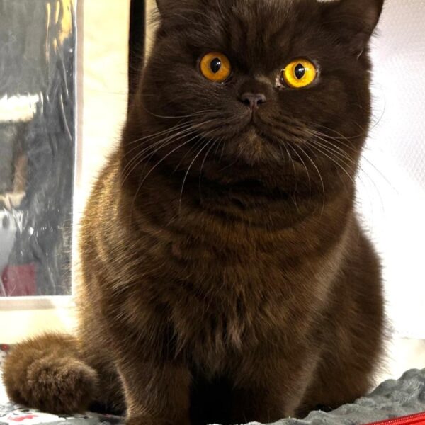 WhatsApp Image 2025-09-02 à 15.59.18_41c6f579