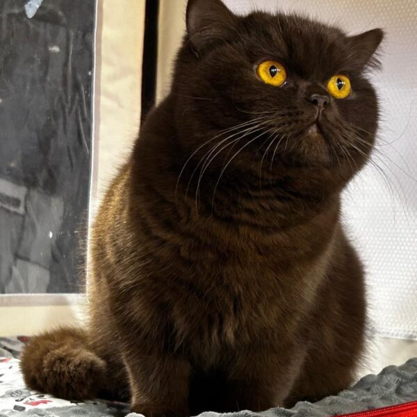 WhatsApp Image 2025-09-02 à 15.59.37_1487cd3f